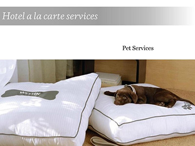 Pet Services